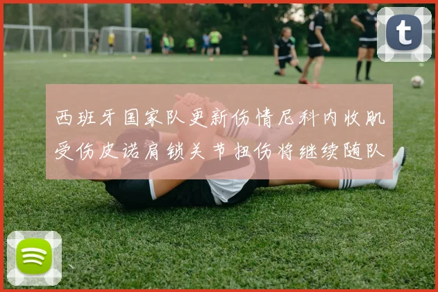 西班牙国家队更新伤情尼科内收肌受伤皮诺肩锁关节扭伤将继续随队训练